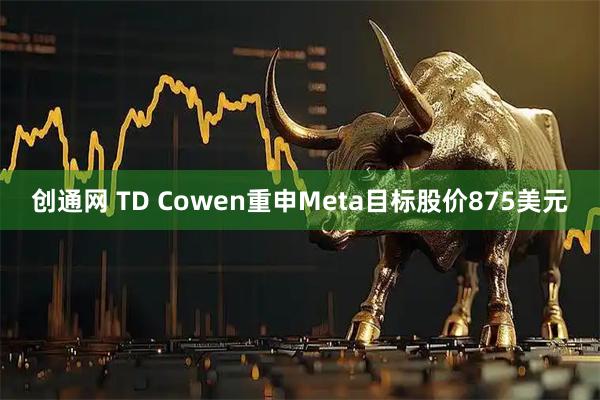 创通网 TD Cowen重申Meta目标股价875美元