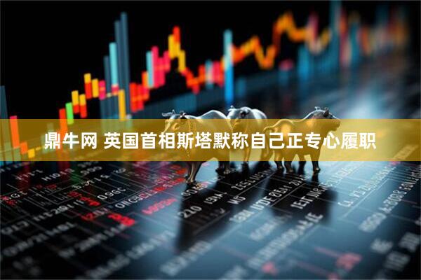 鼎牛网 英国首相斯塔默称自己正专心履职
